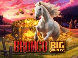 Bronco Big County game icon